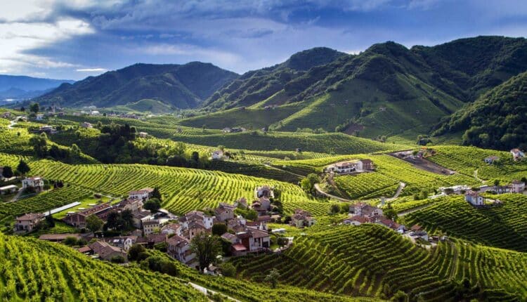 L'approfondimento statistico sulla domanda di lavoro stagionale nel settore turistico veneto