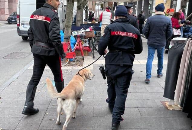 Cremona: Servizio coordinato a largo raggio, controlli nelle scuole e nel centro città