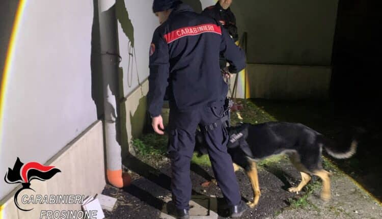 Sora: Operazione StarGate, arresti e allontanamento dalla provincia