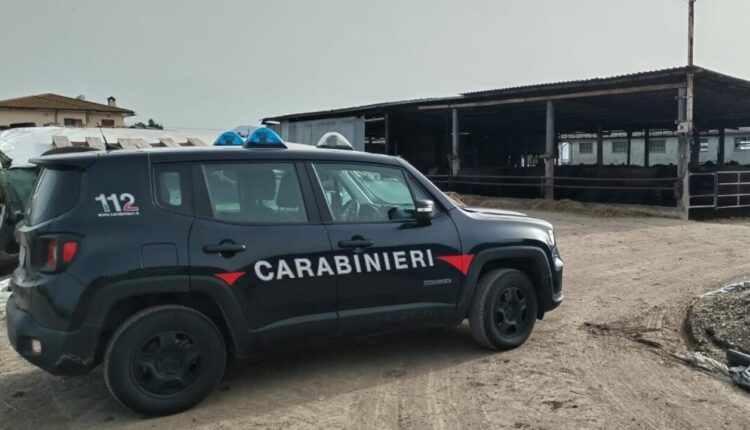 Pontinia: i Carabinieri eseguono un accesso ispettivo presso un’azienda, riscontrata la presenza di cinque lavoratori irregolari.