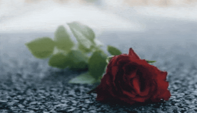 Roma, Giornata delle Vittime della Strada. Video social con il brano di Ligabue ed Elisa 'Volente o nolente'. La presenza costante sulle strade #essercisempre