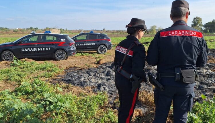 Veglie, odori nauseabondi e inquinamento, rinvenuti 140 metri cubi di letame combusto. Azienda denunciata dai Carabinieri e dai Carabinieri Forestali