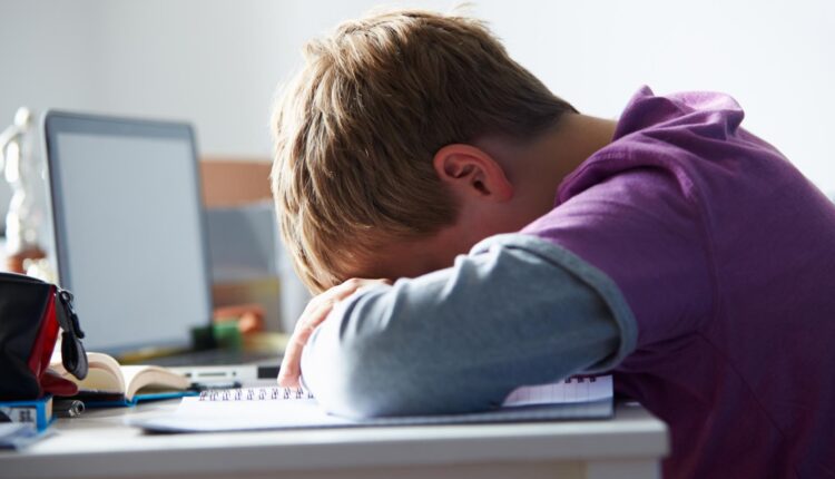 Ascoli Piceno: convegno "Red Flag" per prevenire il cyberbullismo al "Don Giussani - Monticelli"