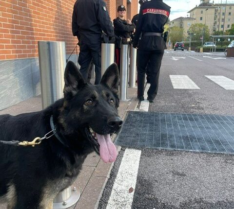 Mantova: Carabinieri effettuano controlli del territorio per contrastare ogni forma di illegalità