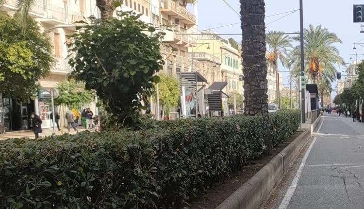 Chocomoments a Messina: la festa del cioccolato artigianale invade la città