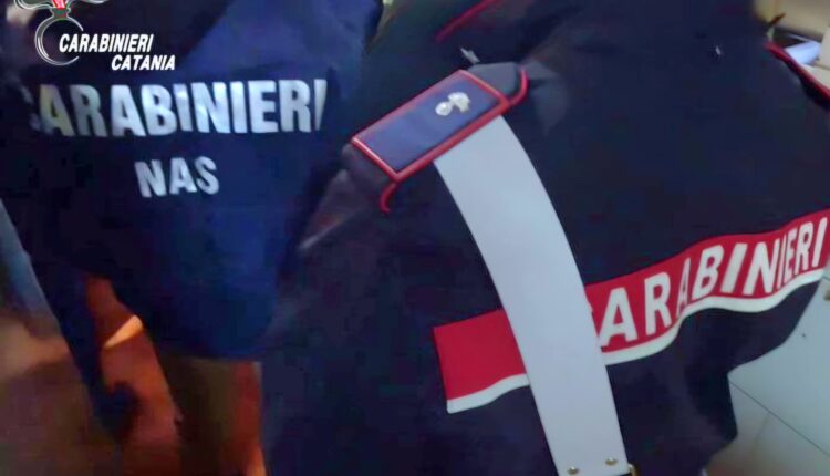 NAS di Catania: scarafaggi nel laboratorio di produzione alimentare, bar sequestrato