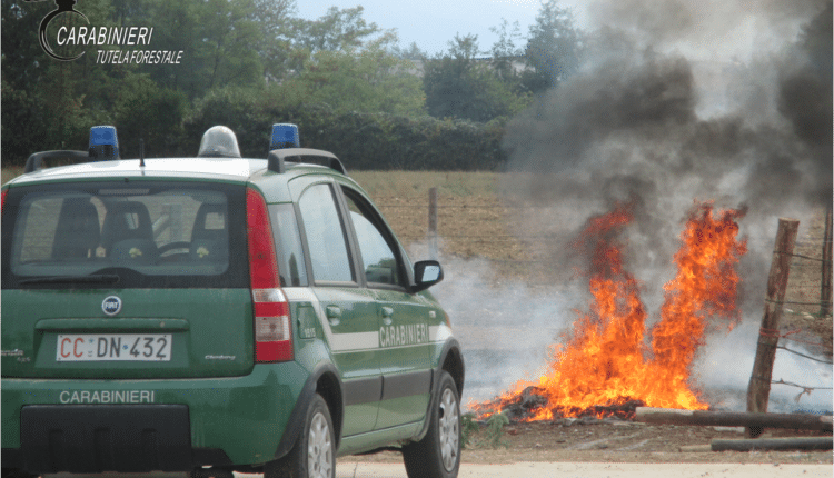 Oltre i 24 soggetti denunciati all'Autorità Giudiziaria di Vercelli da inizio 2024, si segnalano le 15 sanzioni amministrative elevate per violazioni in materia di gestione dei rifiuti per complessivi 65.166 euro.