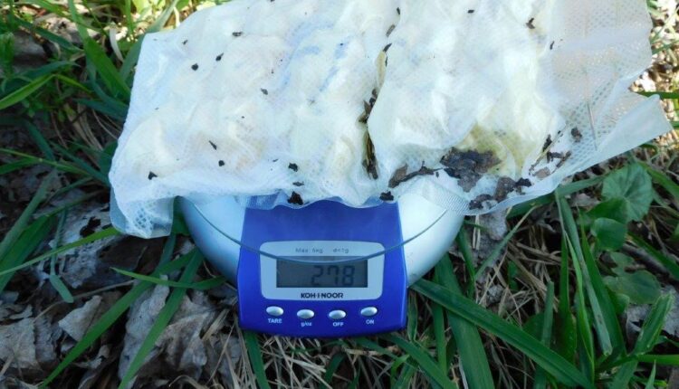 Bra, operazione antidroga da parte dei Carabinieri. Emesse 7 ordinanze di custodia cautelare in carcere