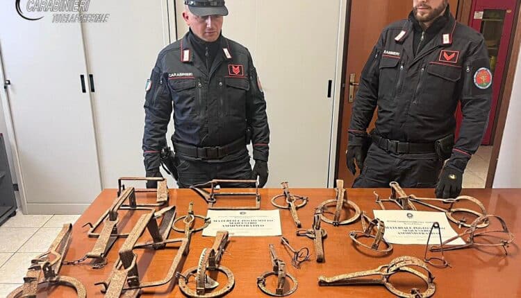 Alessandria: Vendeva illecitamente tagliole per la fauna selvatica, sanzionato per 1.000 euro