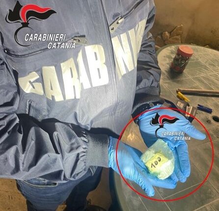 Catania: nascondeva la cocaina tra le buste della spesa, pusher 23enne arrestato dai Carabinieri.
