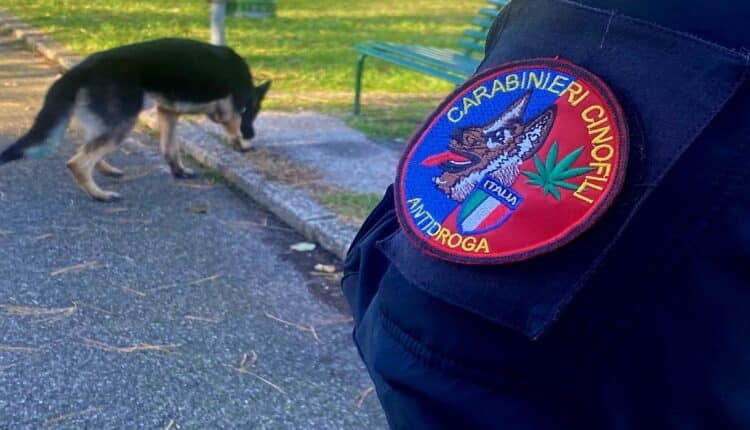 Copparo, controlli straordinari dei Carabinieri. Rintracciato soggetto colpito da ordine di cattura e studente trovato in possesso di droga nei pressi di una scuola