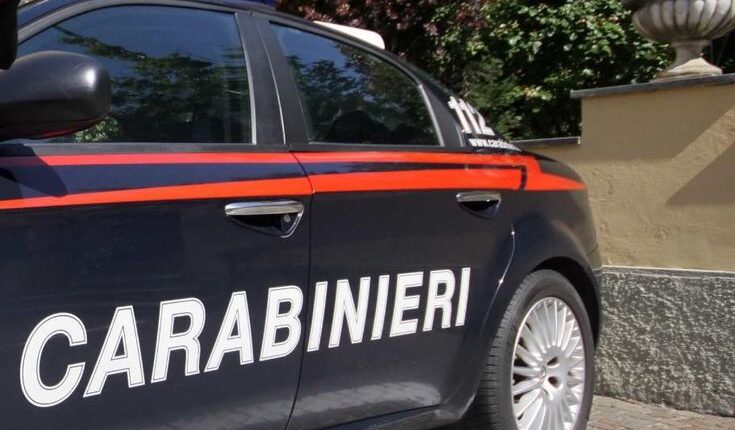 Cremona: Rapina impropria, furto e false dichiarazioni, denunciata 39enne