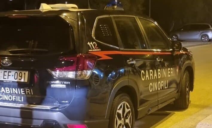 Lamezia Terme, servizio straordinario di controllo del territorio da parte dei Carabinieri