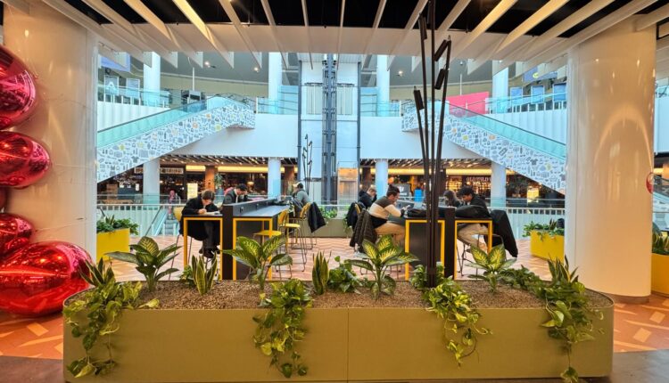 Bicocca Village sponsor di St. Ambroeus FC: una partnership che promuove l'inclusione sociale