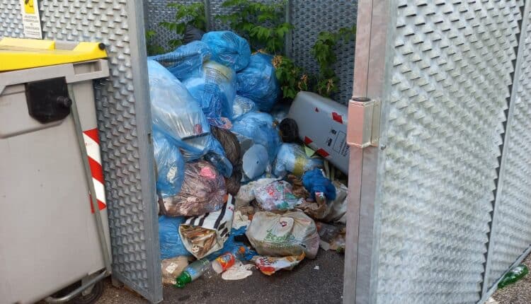 Trento: nucleo ambientale, negli ultimi sei mesi numerose sanzioni grazie alle segnalazioni dei cittadini