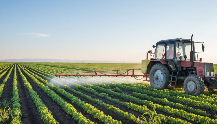 Agricoltura in Emilia-Romagna: quasi 180 milioni di euro per sostenere le aziende agricole