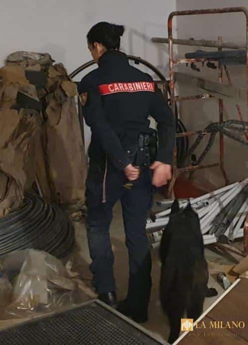 Pescara: Coppia di coniugi arrestata per detenzione di stupefacenti ai fini di spaccio