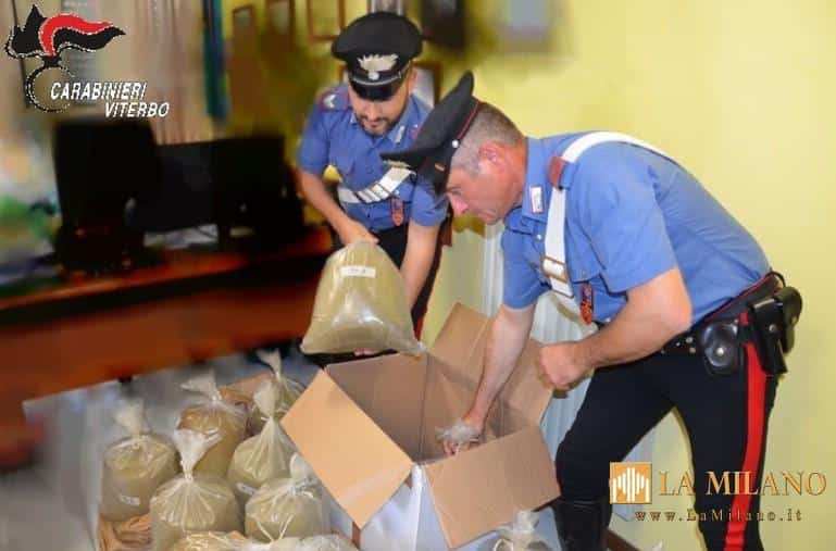 Viterbo: Operazione “Athena 2023”. I Carabinieri smantellano una rete di spaccio di cocaina in città