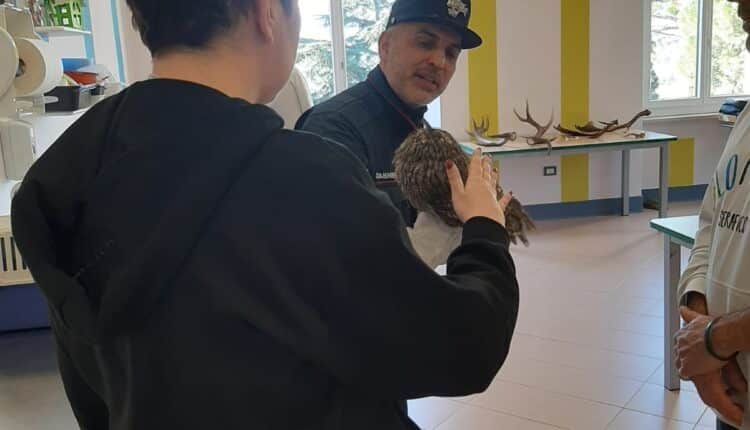 Assisi: Epifania 2025, la "Befana della Biodiversità". Speranza e natura negli ospedali pediatrici con i Carabinieri Forestali