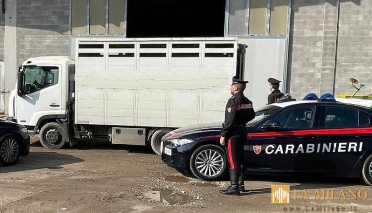 Agnadello: i Carabinieri della Radiomobile di Crema ritrovano della refurtiva rubata su due camion parcheggiati nei pressi di un’area logistica