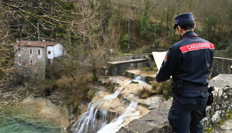 Forlì-Cesena: Attività del Gruppo Forestale dei Carabinieri, un anno al servizio della natura