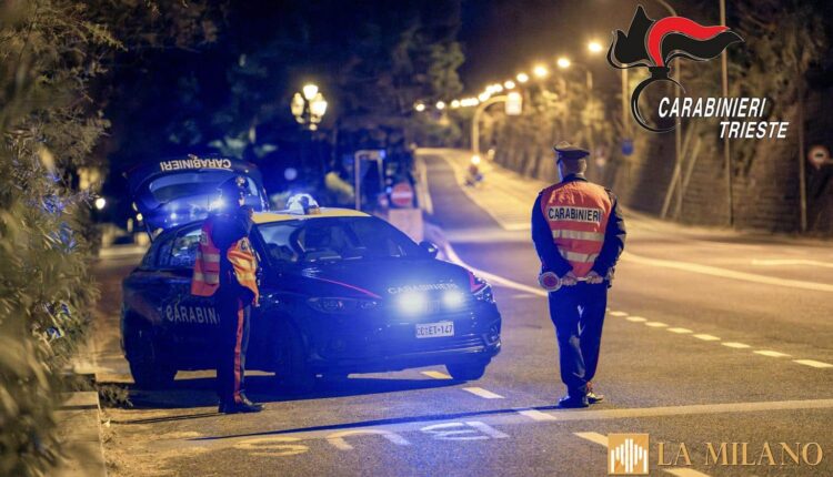 Trieste: continuano i controlli di retrovalico, arrestati due cittadini rumeni