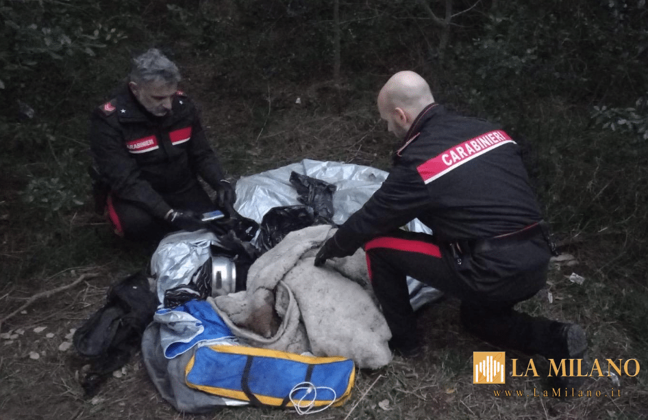 Orbetello: smantellato punto di spaccio in una zona boschiva della SP 36