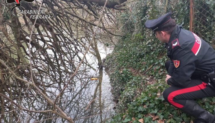 Ferrara: tenta il suicidio gettandosi in acqua, 90enne salvata dai Carabinieri