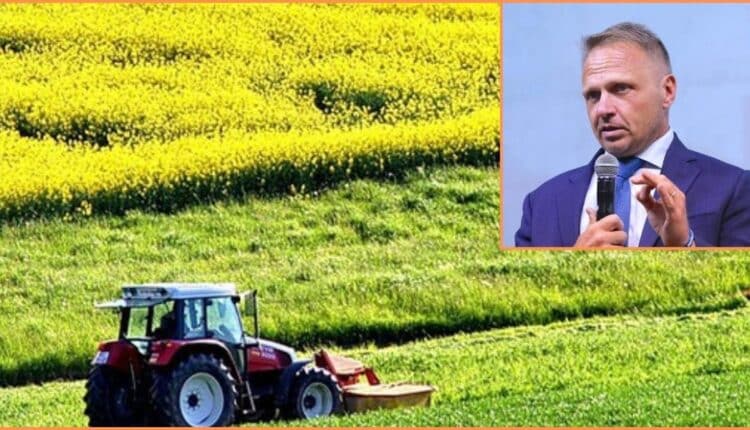 Italia al vertice dell'UE27 per valore aggiunto agricolo: il traguardo storico con cui l'agricoltura italiana torna a crescere 