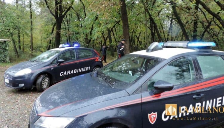 Orbetello: smantellato punto di spaccio in una zona boschiva della SP 36