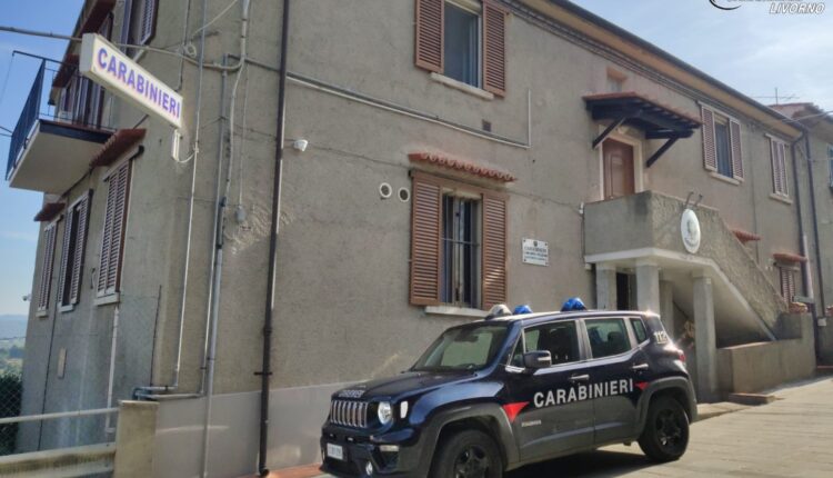 Castagneto Carducci: Raggirata da un falso acquirente su una piattaforma online e indotta a eseguire un'operazione di pagamento elettronico. Individuato e denunciato il presunto responsabile dai Carabinieri