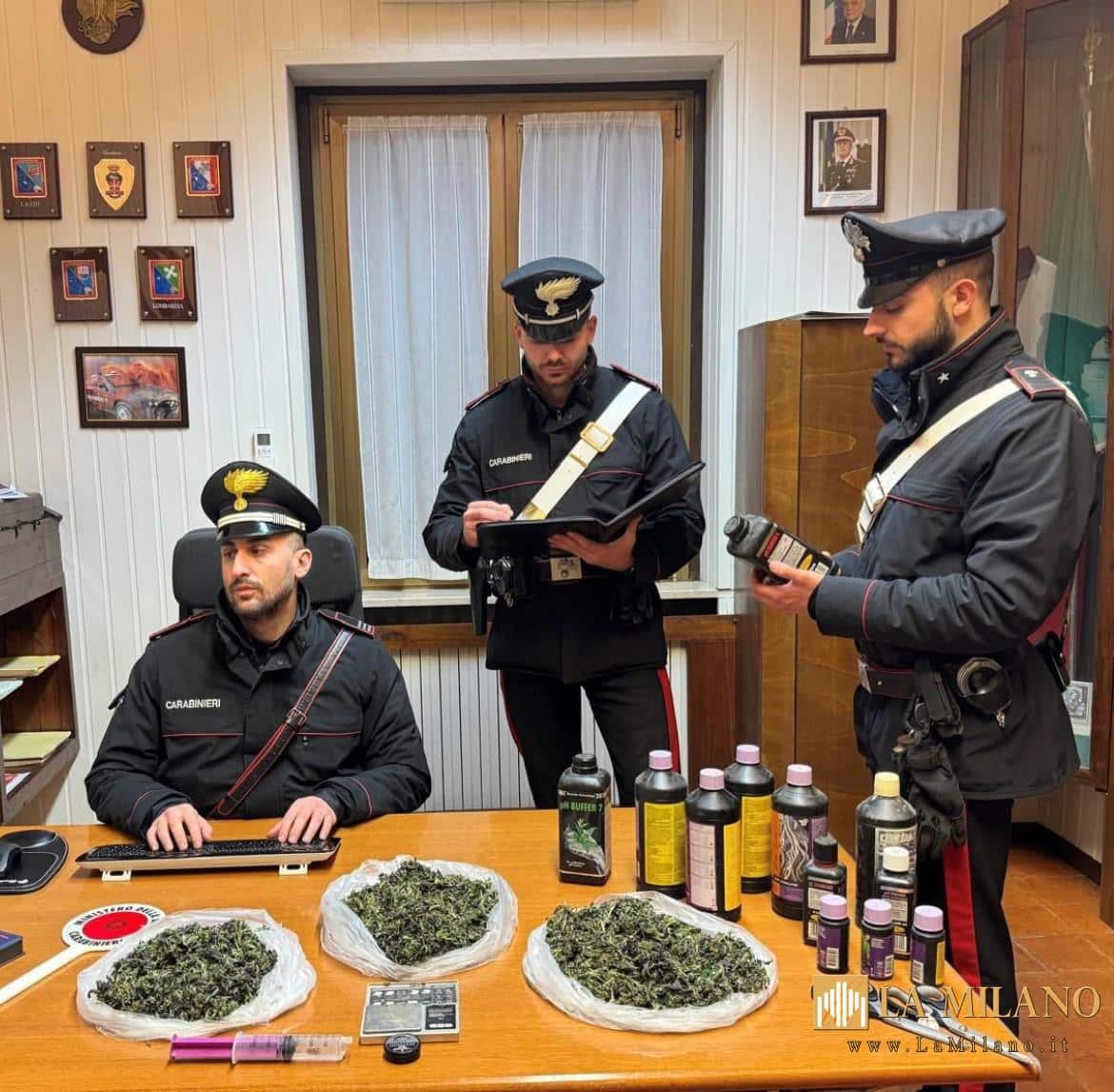 Chignolo Po: 29 gennaio, arresto per produzione, traffico e detenzione di sostanze stupefacenti