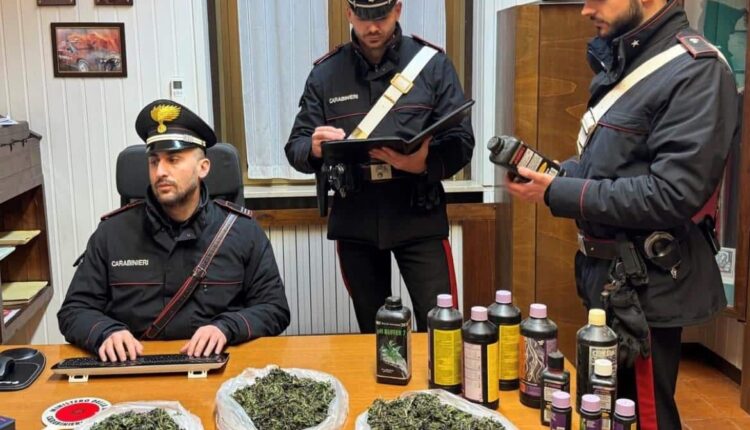 Chignolo Po: 29 gennaio, arresto per produzione, traffico e detenzione di sostanze stupefacenti