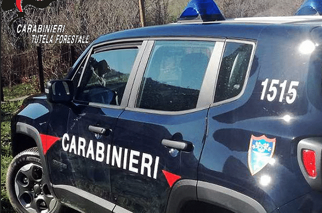 Suvereto: I Carabinieri Forestali sanzionano un imprenditore agricolo per smaltimento illegale di rifiuti