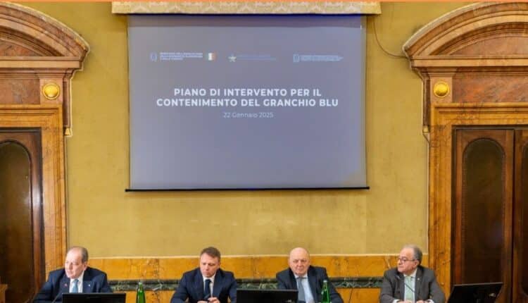 Presentato il Piano Straordinario Granchio Blu: finanziamenti e supporti economici a tutela dell’ambiente e della pesca