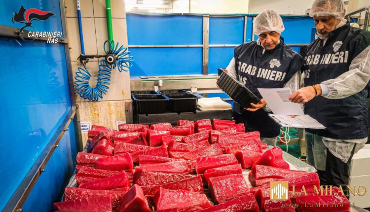 Taranto: bilancio finale dei controlli nel settore "sicurezza alimentare" e "strutture socio-sanitarie e assistenziali" del NAS durante le festività natalizie e di fine anno