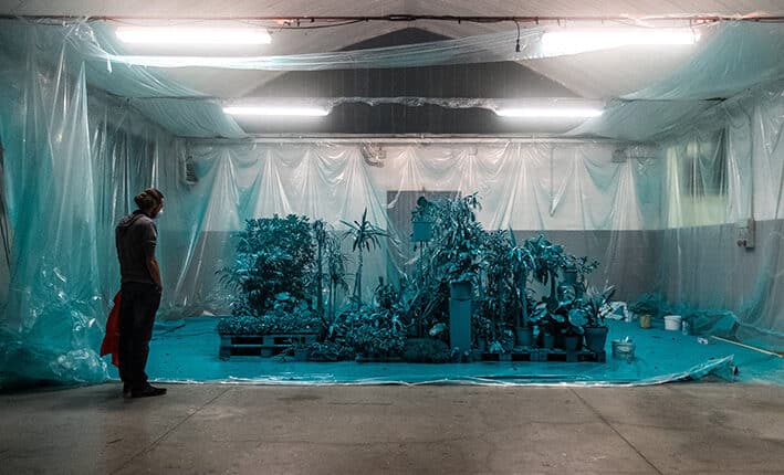 Modena: "Alberi Festival", presentata la prima edizione