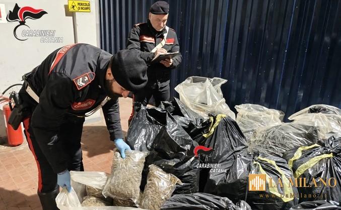 Catania: A San Cristoforo, i Carabinieri scoprono e sequestrano 2 quintali e mezzo di droga nascosta tra materiali di risulta