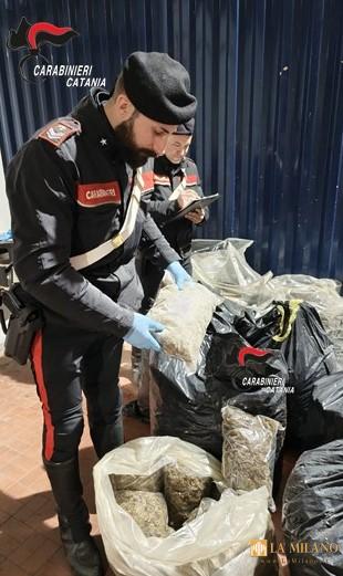 Catania: A San Cristoforo, i Carabinieri scoprono e sequestrano 2 quintali e mezzo di droga nascosta tra materiali di risulta