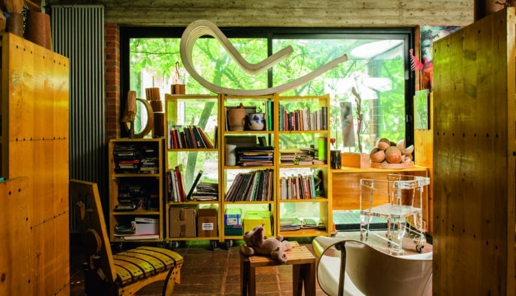 Modena: "Alberi Festival", presentata la prima edizione