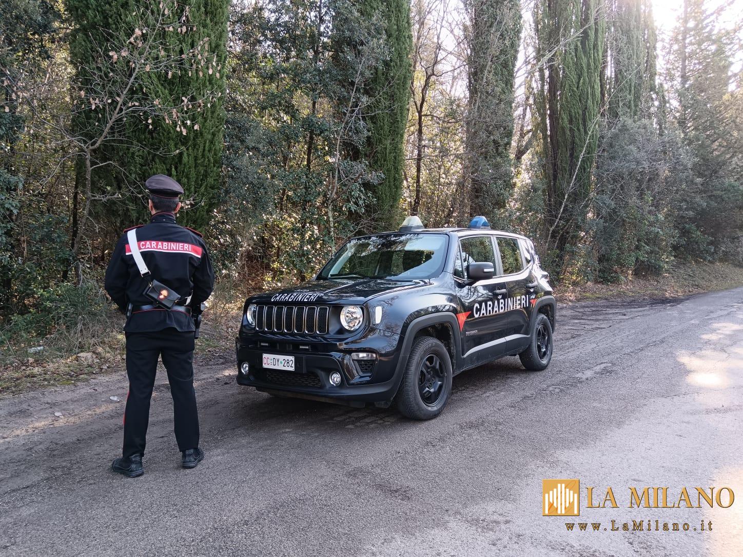 Castelnuovo Berardenga: Carabinieri di Vagliagli smantellano bivacco di spacciatori nel bosco