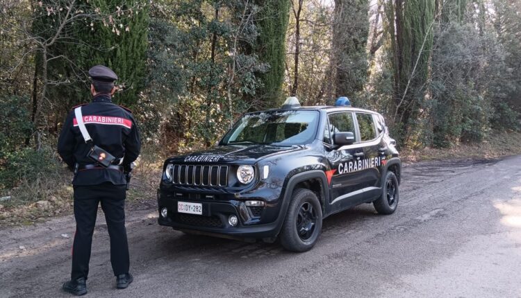 Castelnuovo Berardenga: Carabinieri di Vagliagli smantellano bivacco di spacciatori nel bosco