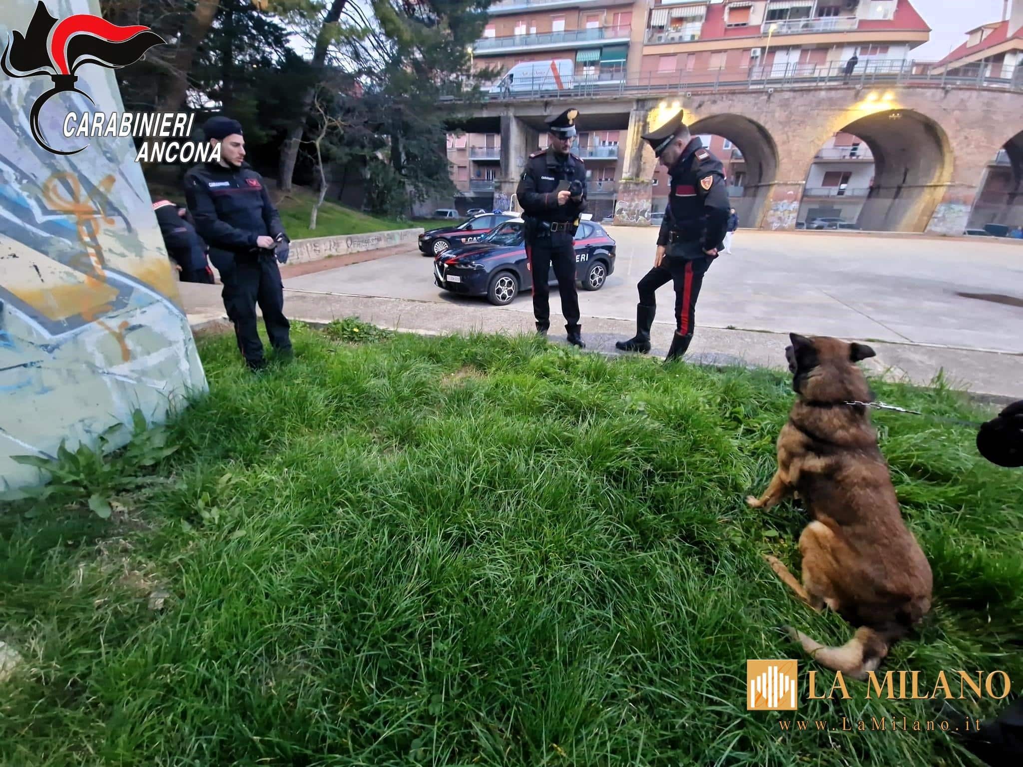 Falconara Marittima: denunce e sanzioni all'esito di massicci controlli dei Carabinieri