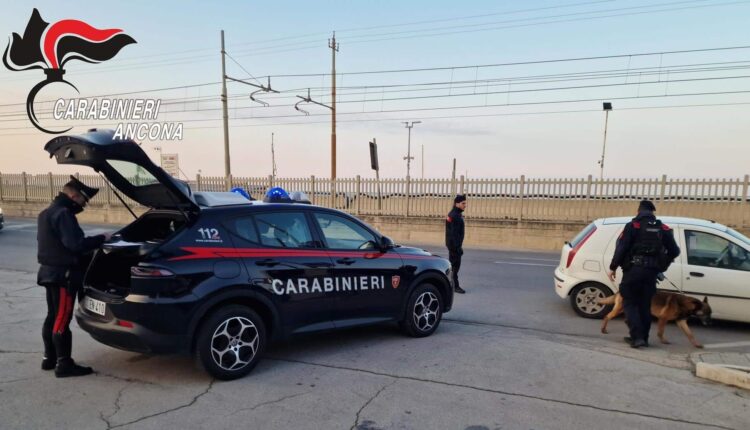 Falconara Marittima: denunce e sanzioni all'esito di massicci controlli dei Carabinieri
