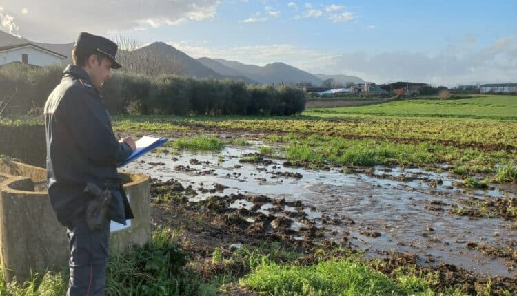 Dragoni, sequestrato un terreno e le macchine agricole dopo uno spandimento illecito di liquami