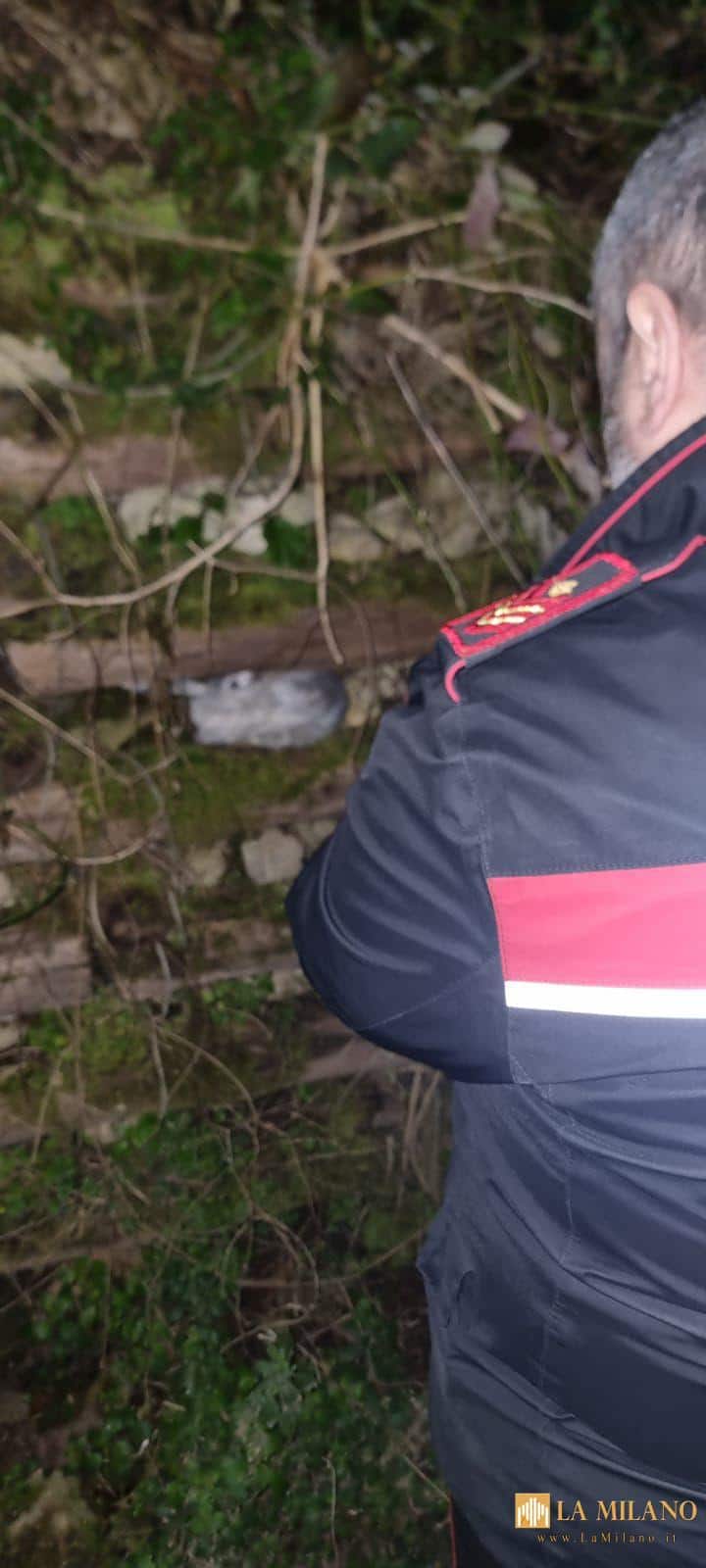 Castellammare di Stabia, Santa Maria la Carità e Agerola: Quasi 300 persone identificate e più di 100 veicoli controllati durante la notte dai Carabinieri