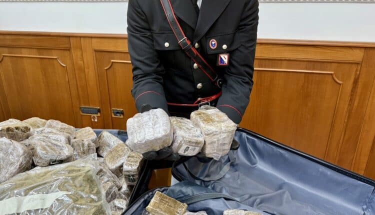 Napoli e Caserta: Carabinieri infliggono un duro colpo alla criminalità organizzata. 750 chili tra hashish e marijuana sequestrati, 4 persone arrestate