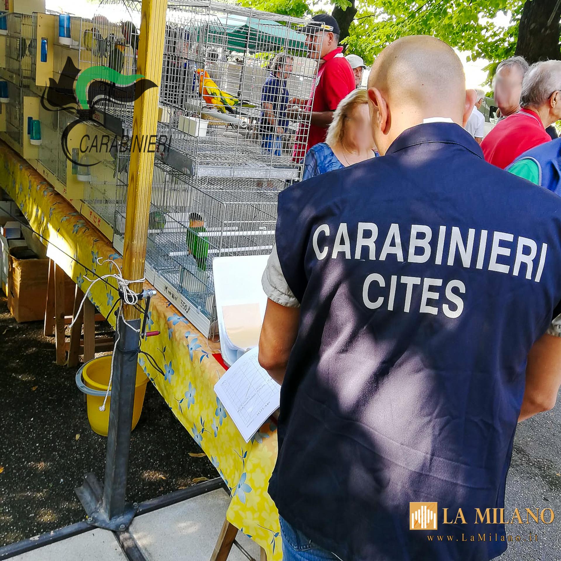 Carabinieri Forestali: controlli sul benessere animale in negozi di animali vivi nelle province di Udine e Vicenza