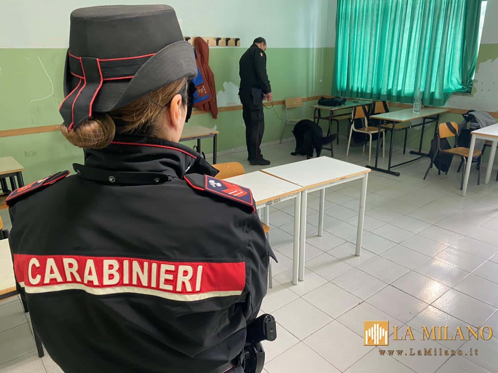 Santa Maria a Vico: il fiuto di "Attila", cane antidroga dei Carabinieri, tra i banchi dell'Istituto "Ettore Majorana"