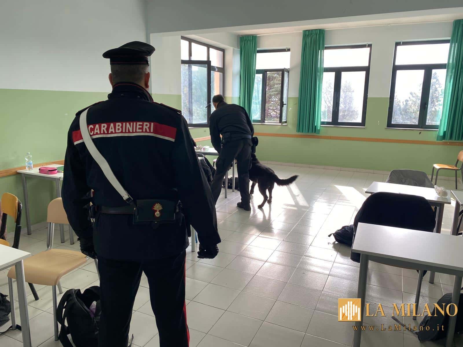 Santa Maria a Vico: il fiuto di "Attila", cane antidroga dei Carabinieri, tra i banchi dell'Istituto "Ettore Majorana"